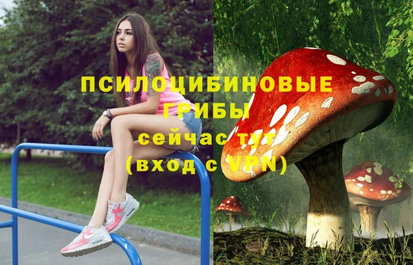 хмурый Михайлов
