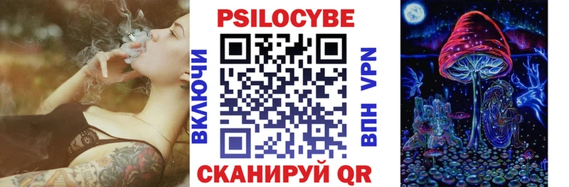 Галлюциногенные грибы Psilocybe  Югорск 