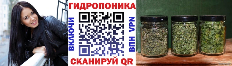 Бошки Шишки индика Югорск